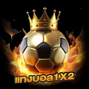 เว็บแทงบอล