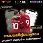 แทงบอลคี่คู่ประตูรวม